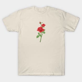 Red Rose Botanical T-Shirt